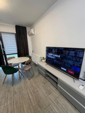 Central Divine Apartments River Towers Iasi